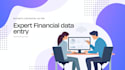 provide professional accounting and financial data entry