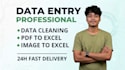 fix and clean excel data, convert PDF and image to excel