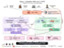 do scientific writings and infographics