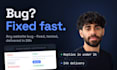 fix bugs and make small changes on your website