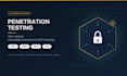 perform professional pentest and vulnerability assessment