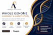 perform whole genome assembly and annotation