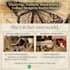 design aesthetic mood boards