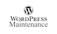 manage, maintain and fix your wordpress website