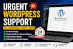 urgently support help fix maintenance update repair wordpress website