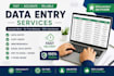 do data entry, copy paste, and web research