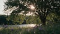 create cinematic ai videos