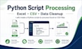 create a python script to process excel or CSV files