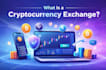 build cryptocurrency exchange website, dex, cex, p2p, wallet app