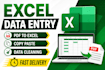 do excel data entry copypaste data cleaning and PDF to excel