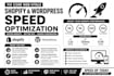 fix core web vitals shopify page speed optimization wordpress speed optimization