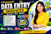 do accurate data entry,copy pest,web research,and excel data entry