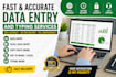data entry and excel
