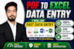 convert PDF to excel, jpg to excel and do fast data entry in 24h