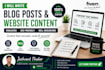 write blog posts and website content