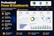 build a professional power bi dashboard