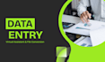 be your expert data entry and virtual assistant