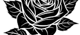 create phoenix tattoo design