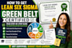 provide lean six sigma green belt coaching and mentoring