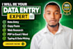 fast data entry, web development, copy paste, excel data entry, pdf to exel