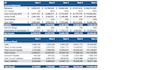 build a professional financial model and 3 statement forecast
