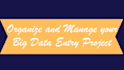 organize and manage your big data entry projects