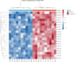 perform gene expression analysis and publication ready statistics