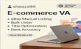 do product listing, data entry, and ecommerce virtual assistant work