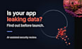 do ai assisted security review of your web app before launch
