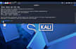 website vulnerability assessment and security audit