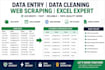 do data entry, excel expert, web scraping and data cleaning