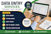 data entry and copy paste