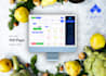 develop personal bank software, budgeting software, accounting software