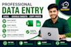 do data entry excel and copy paste