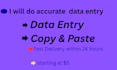 data entry, excel expert, and virtual assistant
