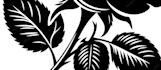design premium tattoo flash sheet