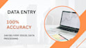 do accurate data entry ,excel sheet