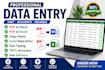 do accurate data entry, PDF to word, excel data entry and copy paste