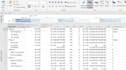 create professional microsoft project plans and gantt charts
