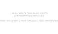 write SEO blog posts and website content