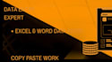 do professional data entry, copy paste and web research