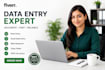 be your professional data entry virtual assistant
