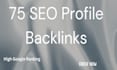 create high quality 75 SEO profile backlinks