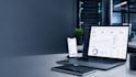 do bulk product listing and ecommerce SEO