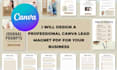 design a canva lead magnet, ebook, workbook, or PDF guide