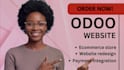 build customize odoo CRM module development website design
