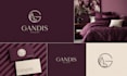design logo, brand identity and branding kit