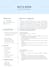 create a professional CV and resume design