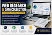 do professional web search, internet research and data collection
