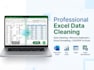 do data cleaning, formatting in excel